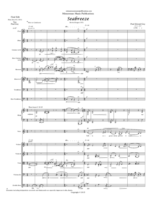 Seabreeze (Orchestra Score)